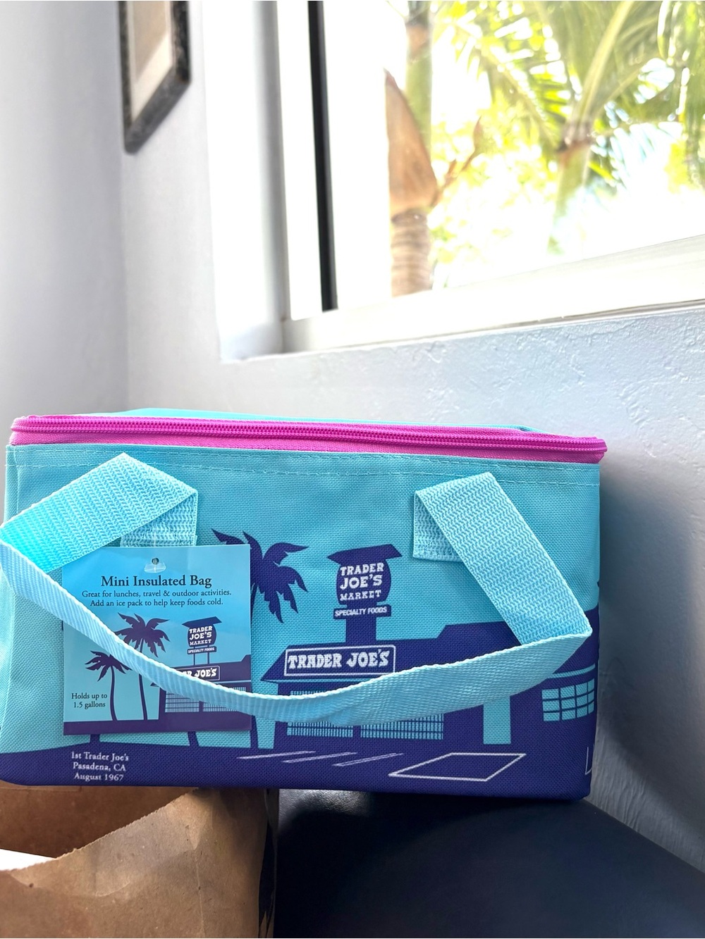 Trader Joe's Mini Insulated Tote